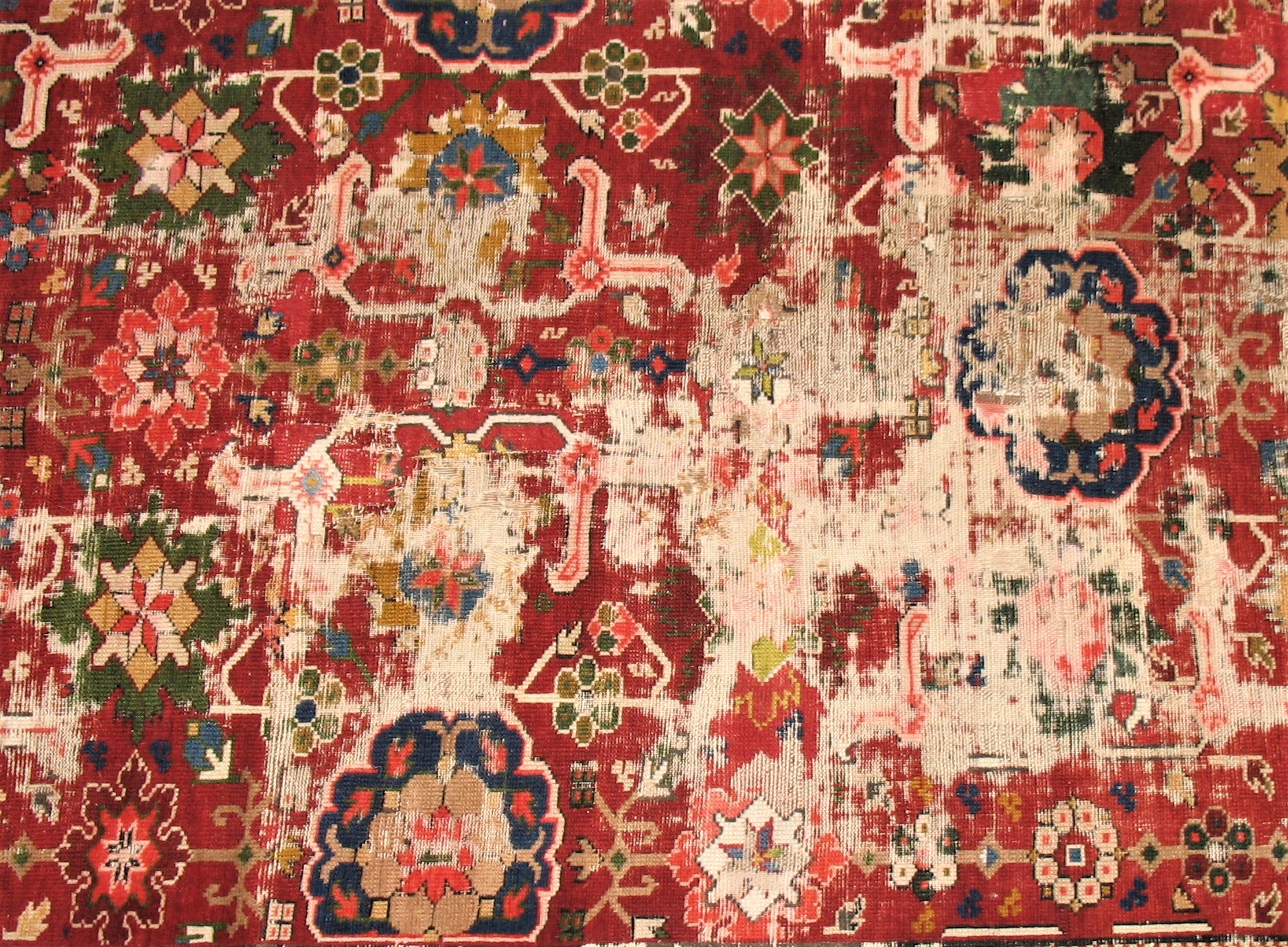 Insect Damaged rug