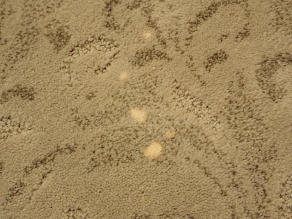 mystery-bleach-carpet-spots.jpg